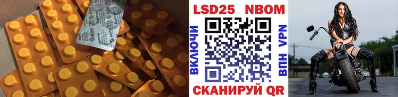 Купить  Белая Холуница  Лсд 25 экстази ecstasy 