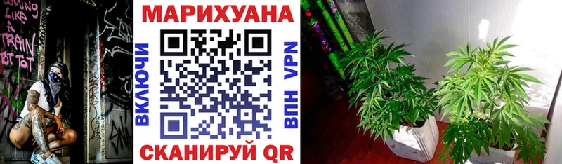 Купить закладки  Белая Холуница  Марихуана Amnesia 